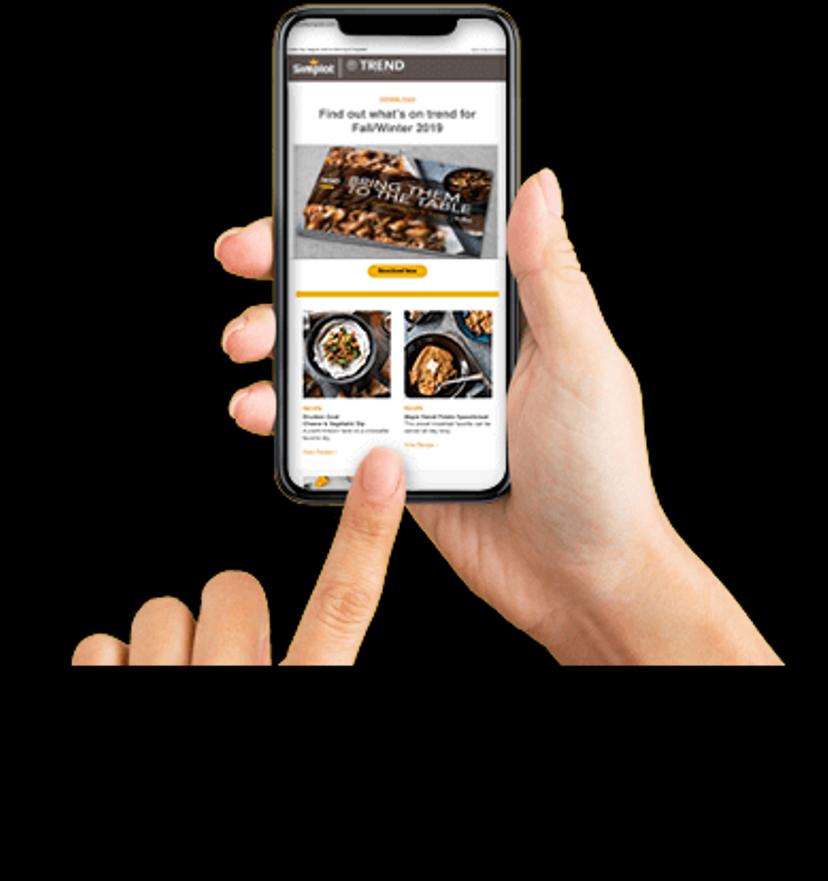 Hand holding mobile phone and viewing Trend Feast email 
